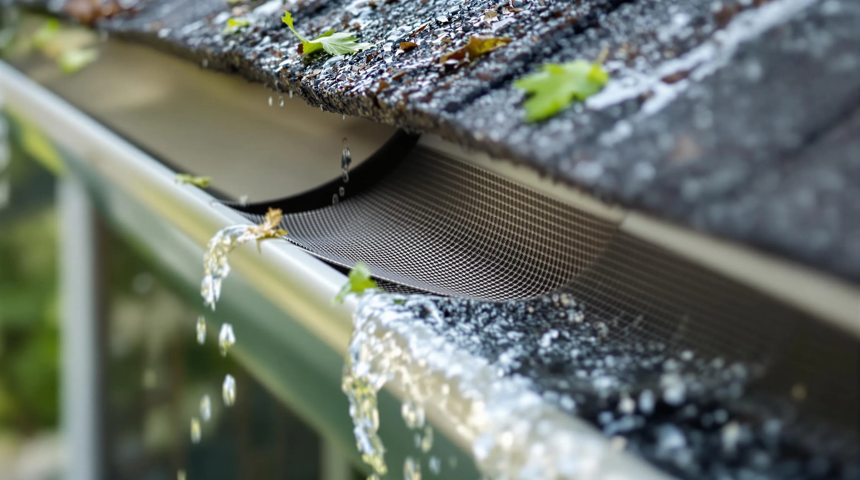 rooftop rainwater filters ideas