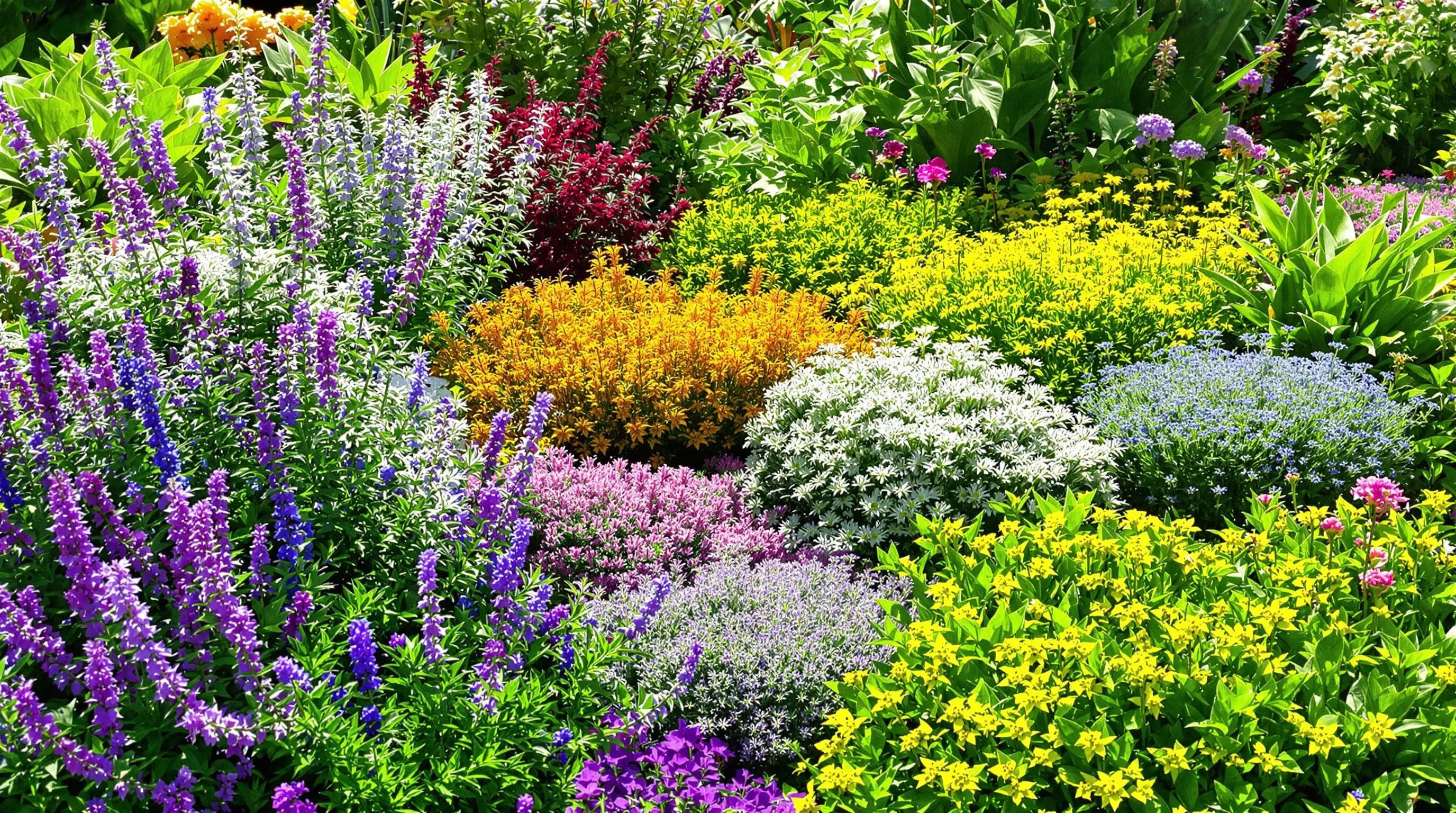 6 low growing perennials